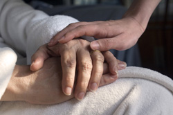 hands