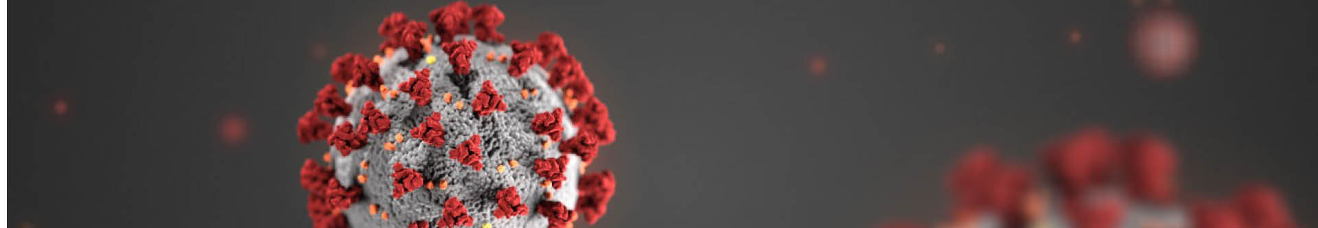 Subpage Banner Image