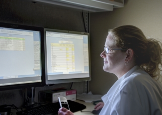 staff at computer